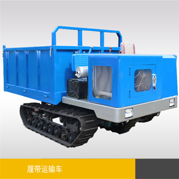 3噸座駕式履帶運(yùn)輸車